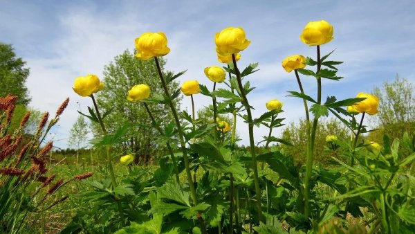 Поздравление с хорошим днем