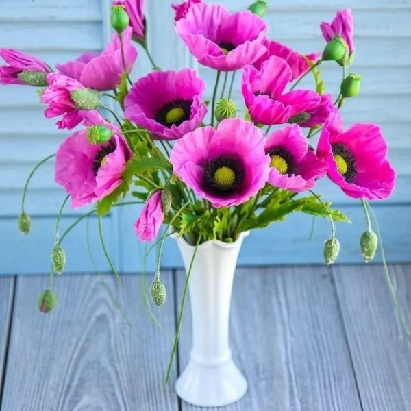 Поздравления со вторником