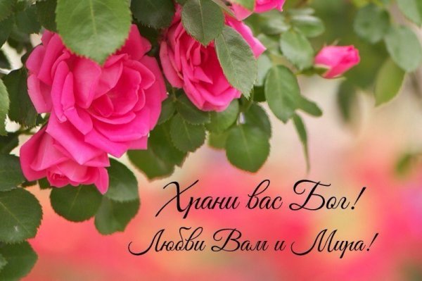 Многая лета поздравление с днем рождения