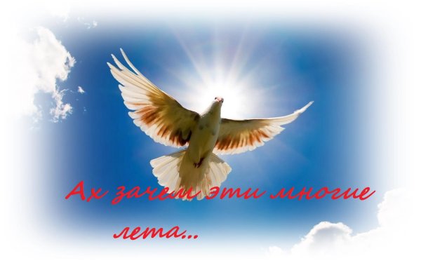 Да хранит вас Господь