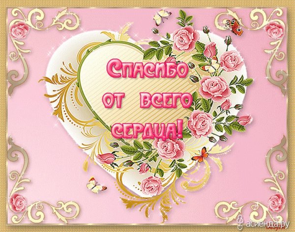 Открытка спасибо за поздравления