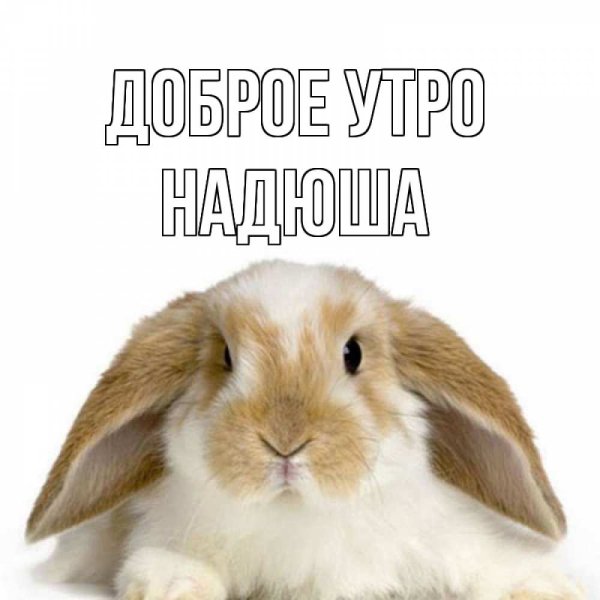 Доброе утро Надюша открытки