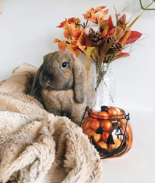 С добрым утром жизнь