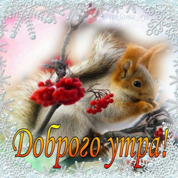 Фото тёплой зимы с кроликом с пожеланиями