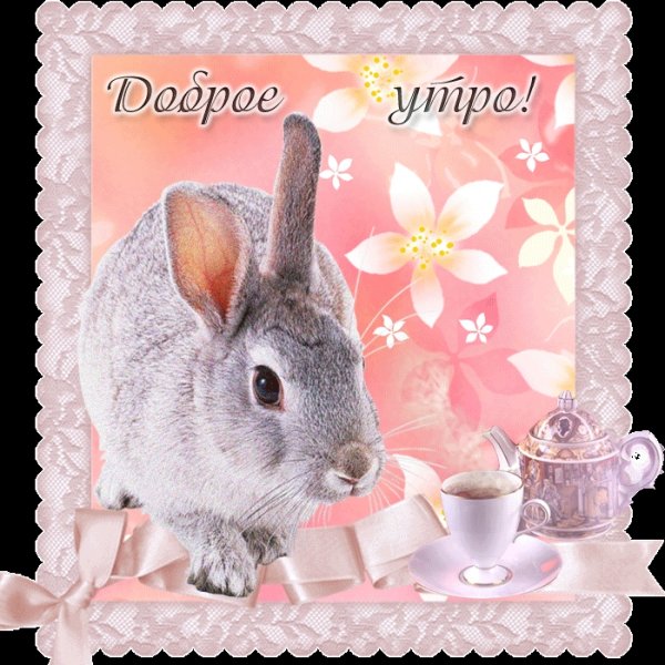 Доброе утро зайчик