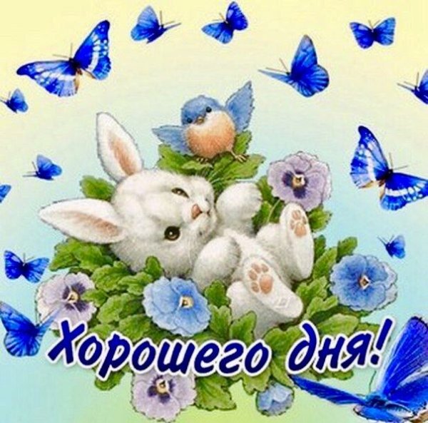 Открытки с добрым утром с зайчиками