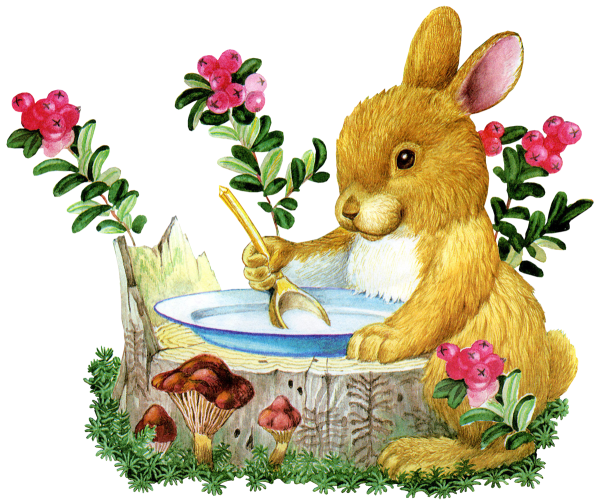 Заяц умывается