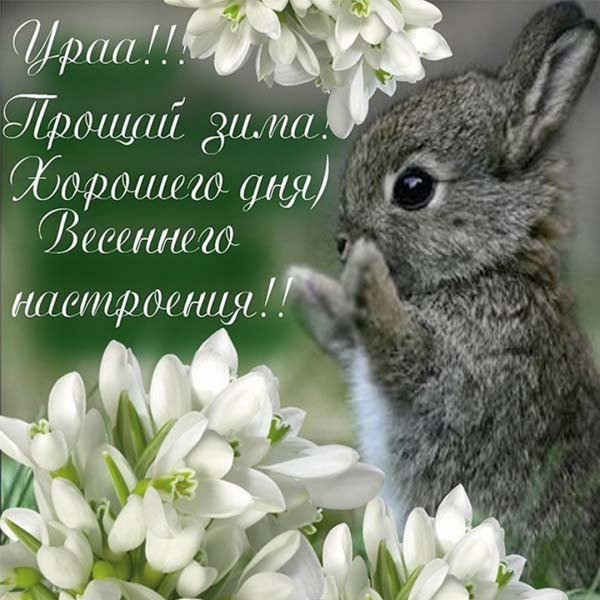 С первым днем весны