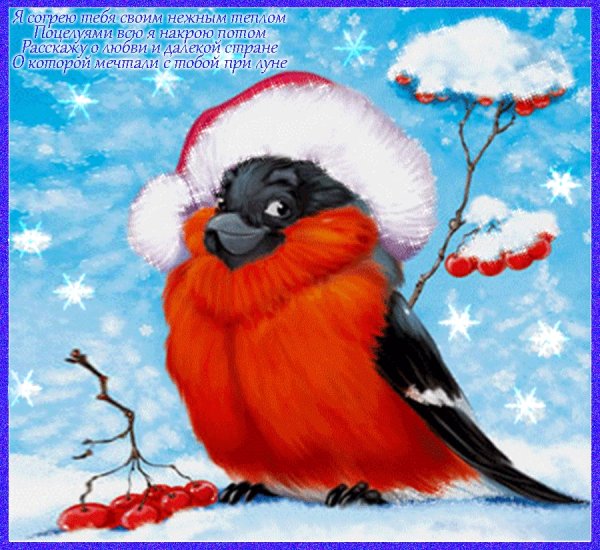 Доброе зимнее утро с мандаринами