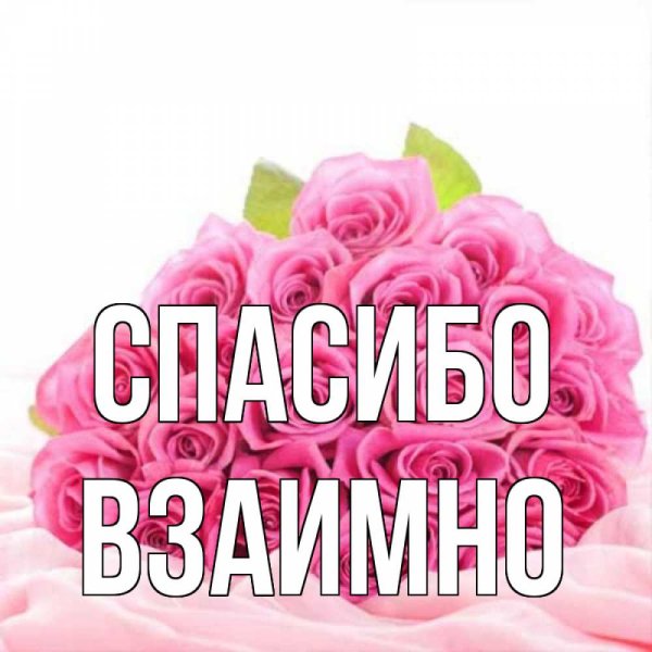 Спасибо любимый