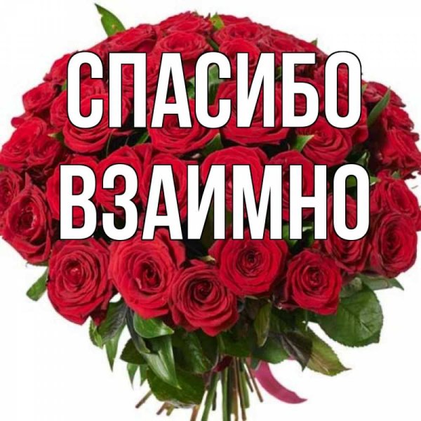 Стикер взаимно