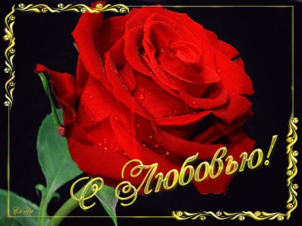 Открытки спасибо взаимно