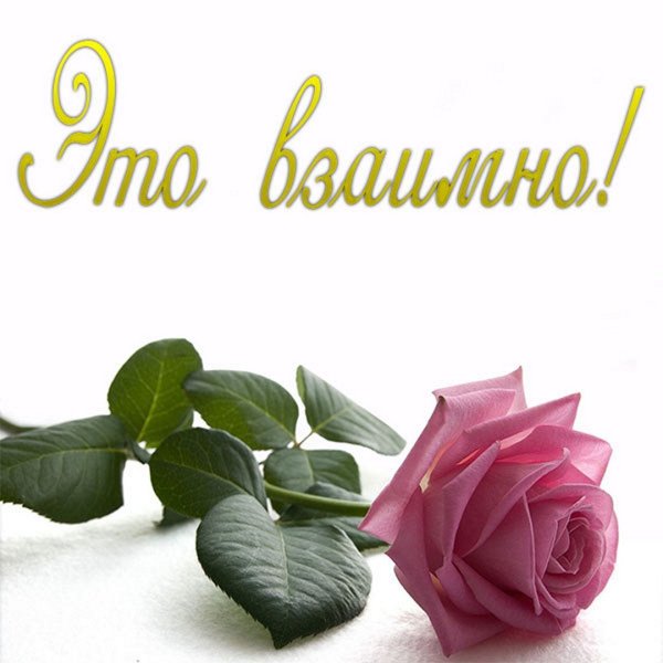 Открытки спасибо взаимно