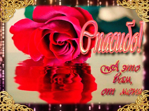 Спасибо и тебя с праздником