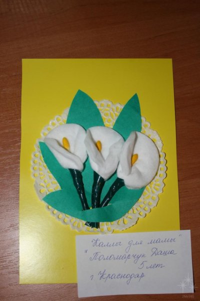 Каллы из ватных дисков