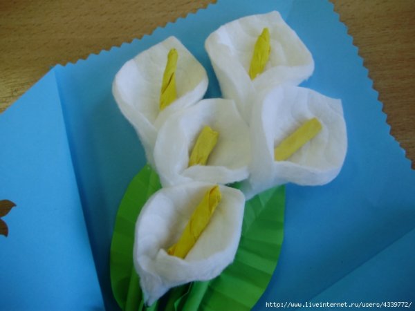 Поделки из ватных дисков