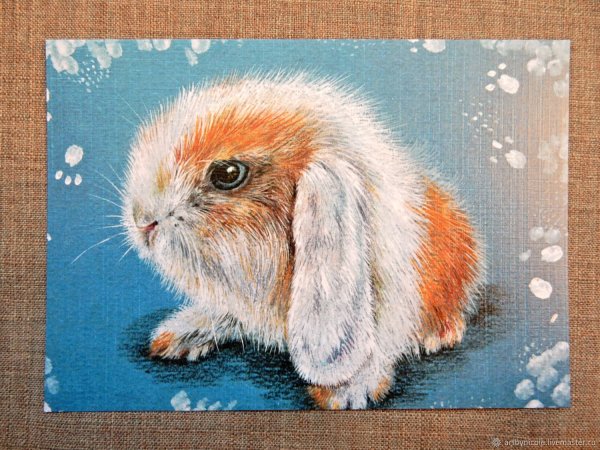 Авторские открытки животные