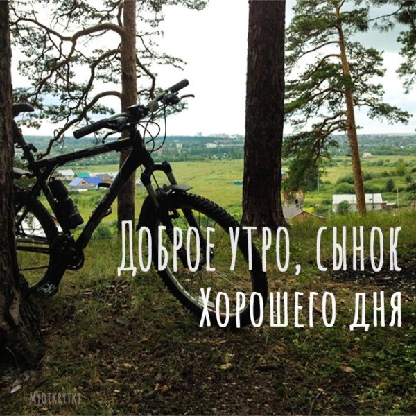 Доброе утро сыну взрослому