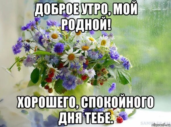 Доброе утро родной