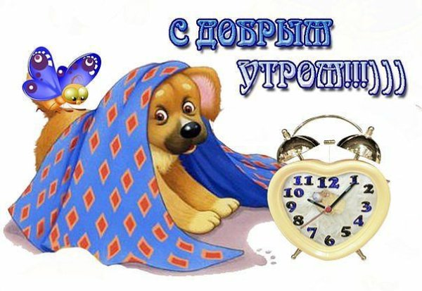 Позитивные афоризмы в картинках