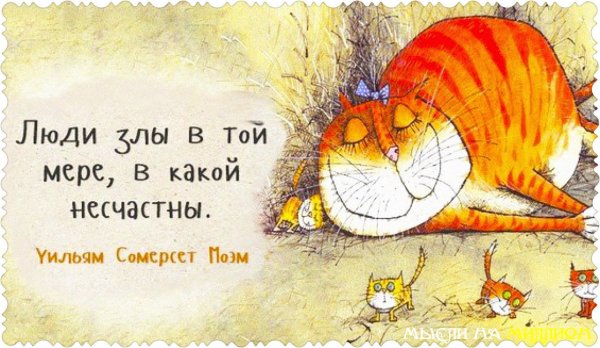 Пожелания с добрым утром прикольные