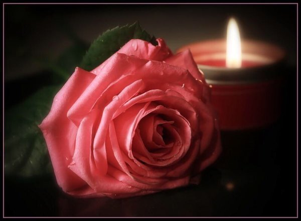 Светлая память