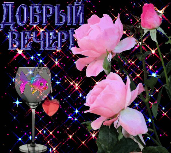 Красивые поздравления с добрым вечером