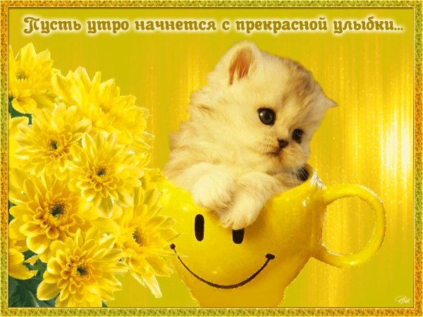 Добрейшего утра и отличного настроения на весь