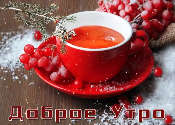 Красивого зимнего утра и здоровья