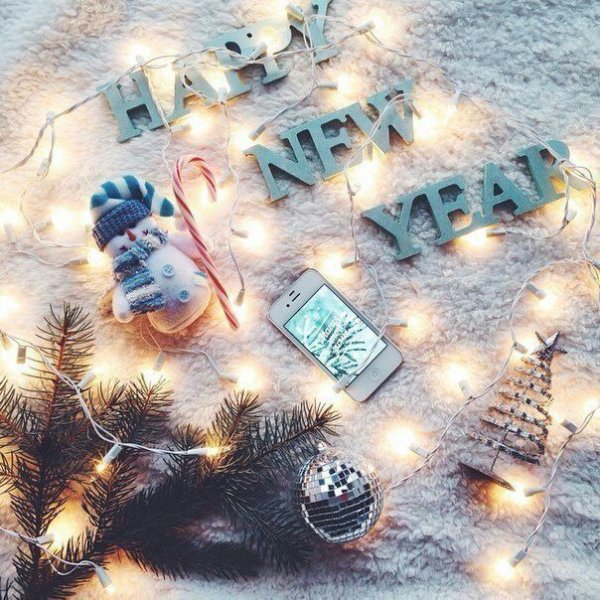 Рождественские специи