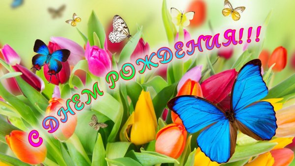 С днём рождения сына