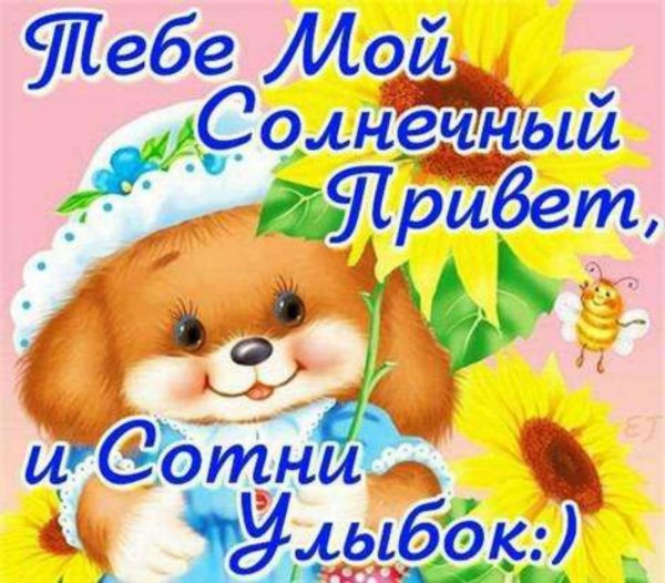 Пожелание счастья с котятами