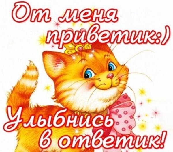 Добрый день солнышко