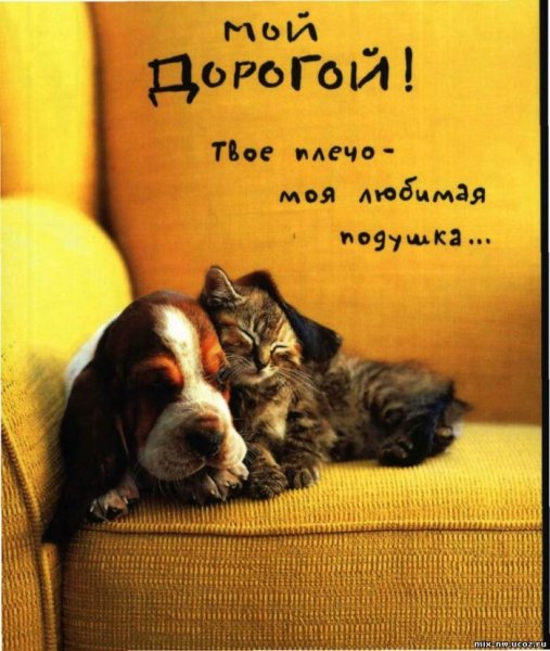 Люблю целую обнимаю