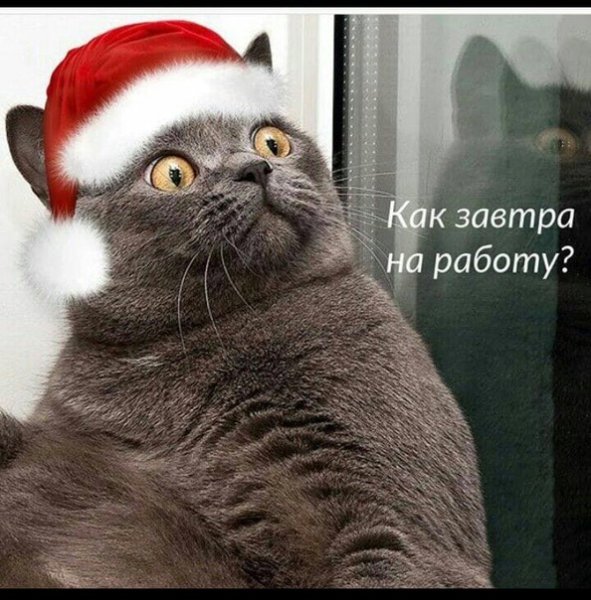 После новогодних праздников