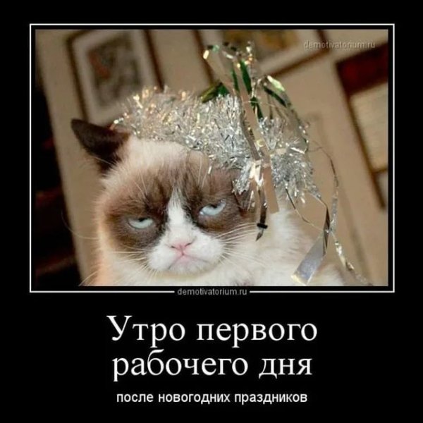 Поздравление с первым рабочим днем