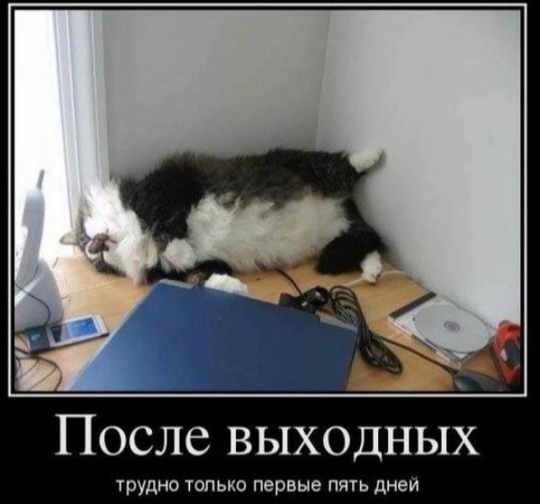 Понедельник день тяжелый
