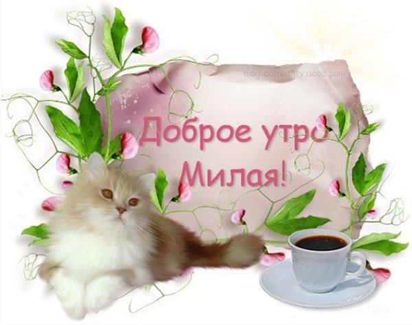 С добрым утром девушке