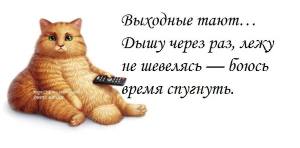 Новогодний режим нажрались и лежим