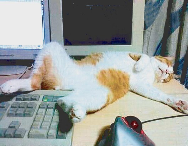 Первый рабочий день после праздников