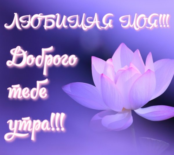 Поздравление с добрым утром любимой девушке