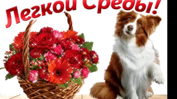 Открытки поздравления с добрым утром