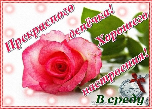 Открытки со средой