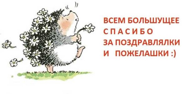 Поздравления спасибо