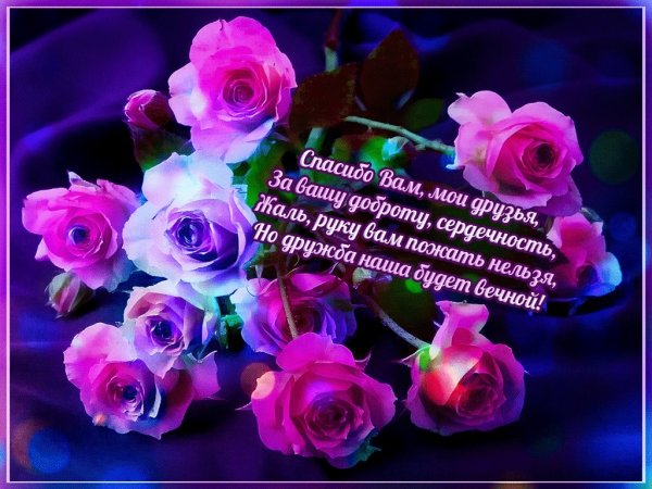 Поблагодарить за поздравления