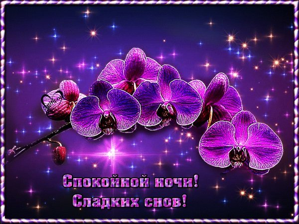 Анимационные открытки спокойной ночи