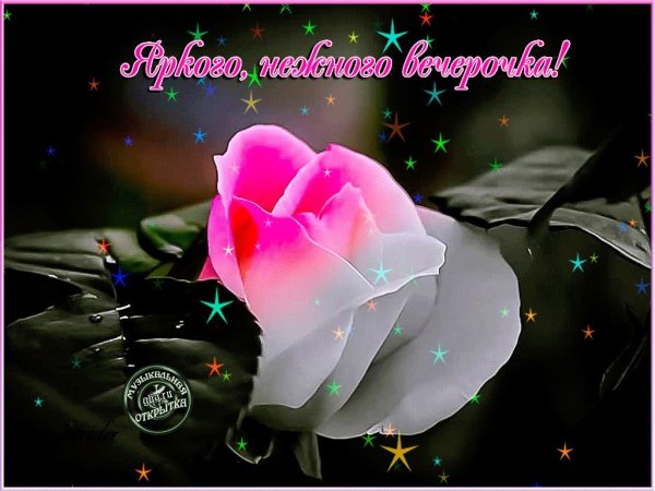 Счастливого вечера и спокойной ночи