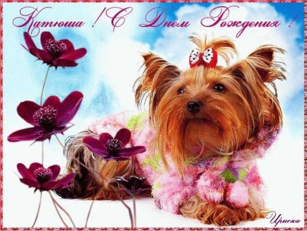 С днём рождения Катюшка