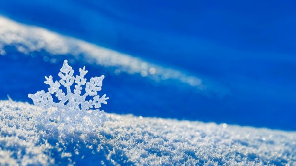 Зима снег снежинки