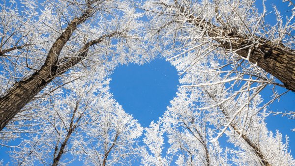 Февраль природа